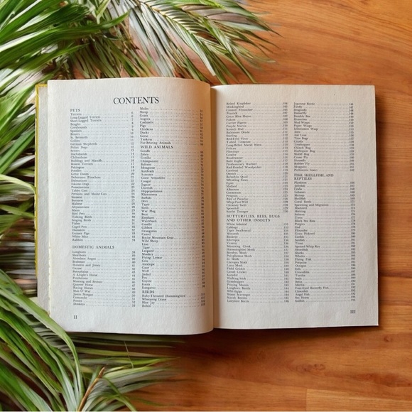 Vintage 1974 Children’s Guide to Knowledge Hardcover Book – Parents’ Magazine - Picture 8 of 16